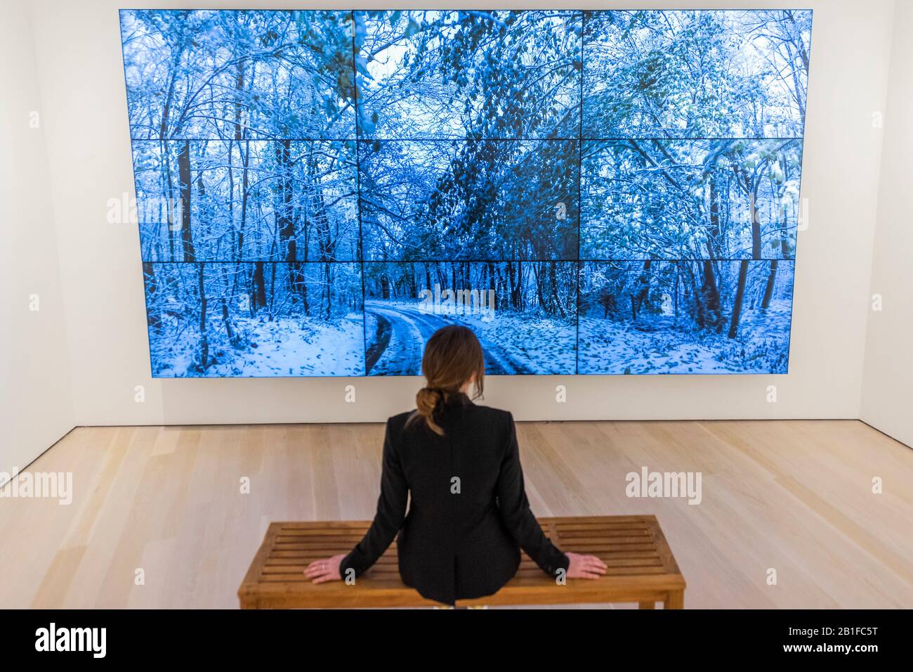 Londra, Regno Unito. 25th Feb 2020. Woldgate Woods, Winter, 2010 - una mostra di ritratti di David Hockney all'Annely Juda fine Art di Londra che si terrà dal 28 febbraio al 25 aprile 2020. Lo spettacolo coincide con la mostra di Hockney alla National Portrait Gallery, aperta il 27 febbraio 2020. La mostra comprende 18 ritratti su tela di amici e associati di Hockney. Credito: Guy Bell/Alamy Live News Foto Stock