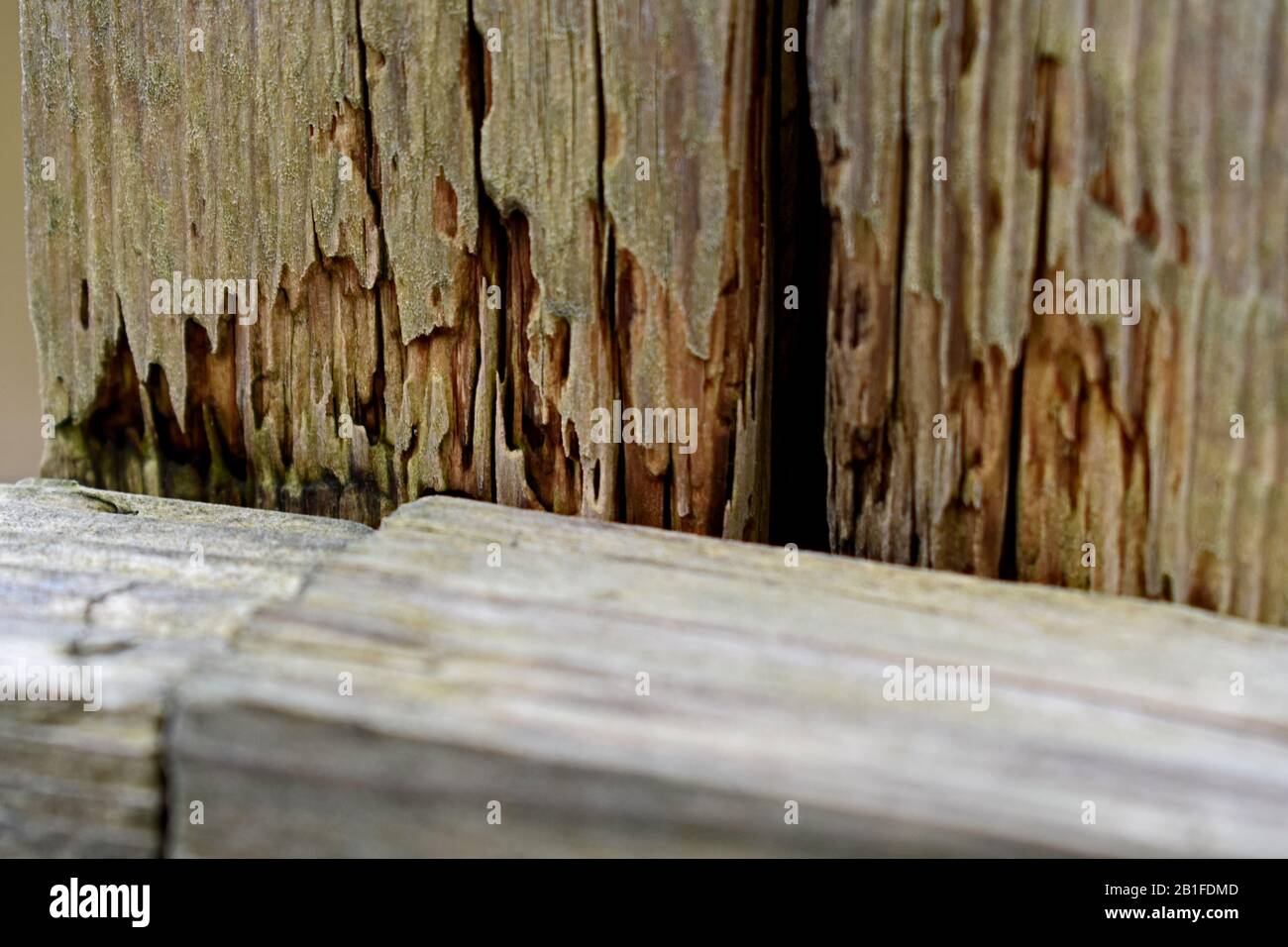 Particolare di e vecchia recinzione in legno Foto Stock