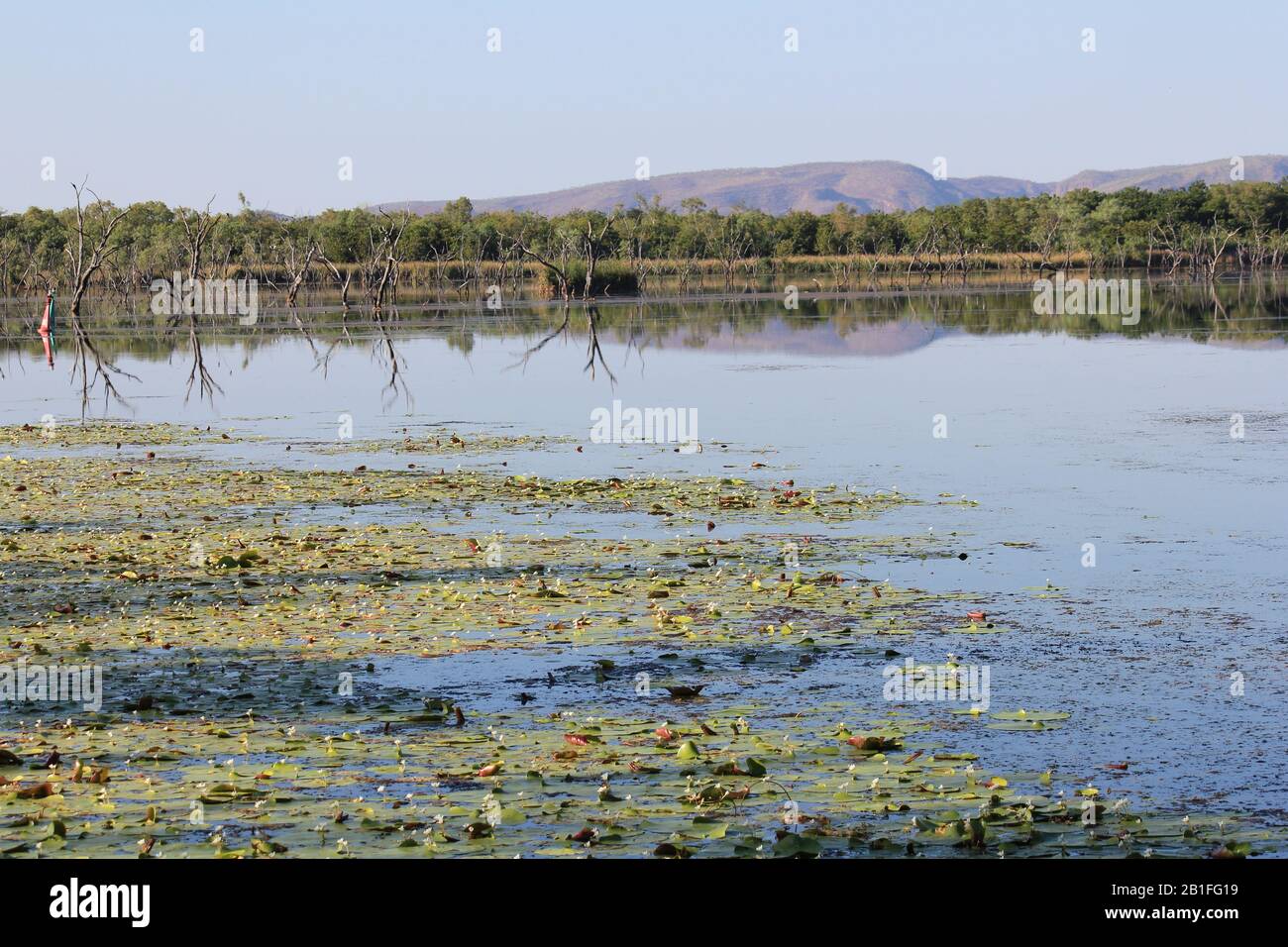 Kununurra Zone Umide Australia Occidentale Foto Stock