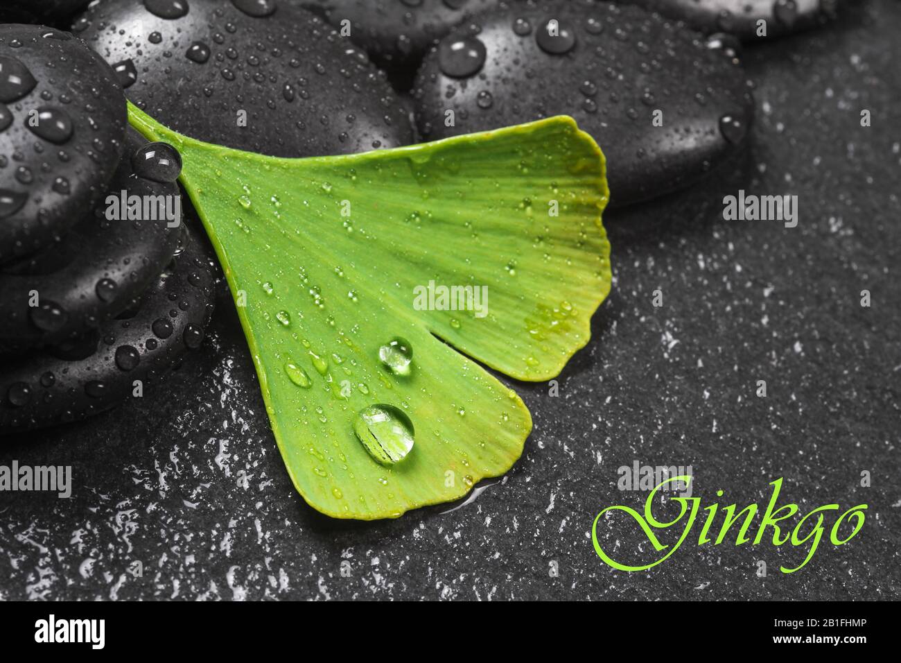 Foglie di Ginkgo e pietre calde Foto Stock