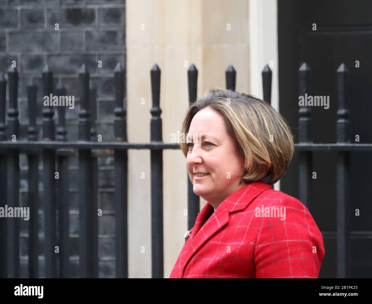 Londra, Regno Unito. 25th Feb, 2020. Anne-Marie Trevelyan, Segretario allo sviluppo internazionale, lascia il settimanale Gabinetto Meeting di Downing Street. Credit: Uwe Deffner/Alamy Live News Foto Stock