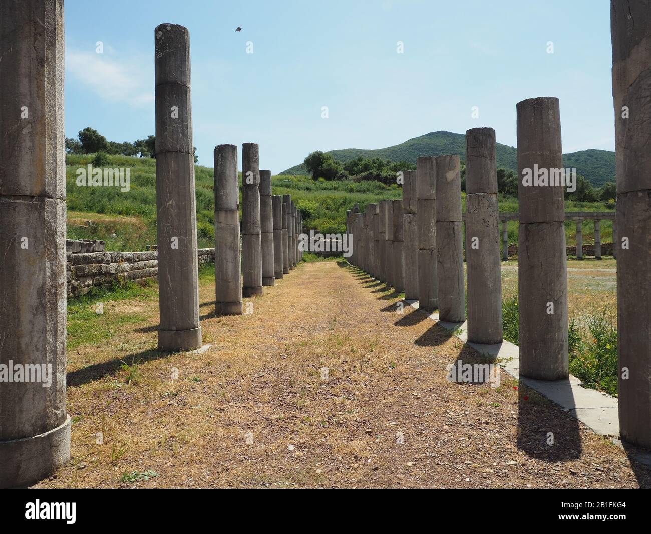 Una doppia fila di colonne sul sito archeologico dell'antico Messene, Itomi, Messini, Messenia, Peloponneso, Grecia. Foto Stock