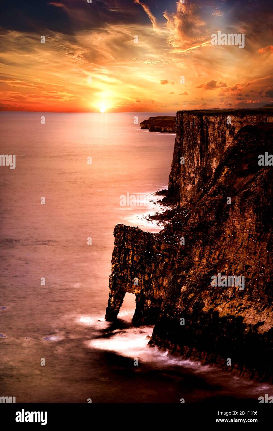 Bempton Cliffs Foto Stock