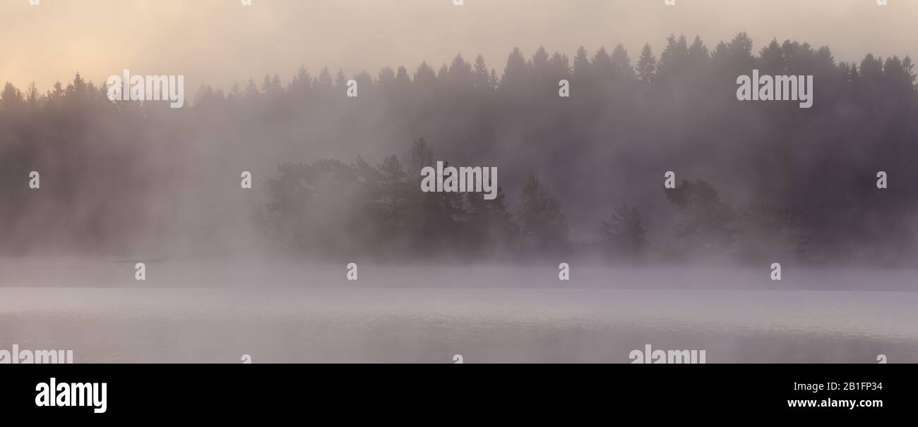 Primo autunno nebbia mattina a Vanemfjorden nel lago Vansjø, Østfold, Norvegia. Foto Stock