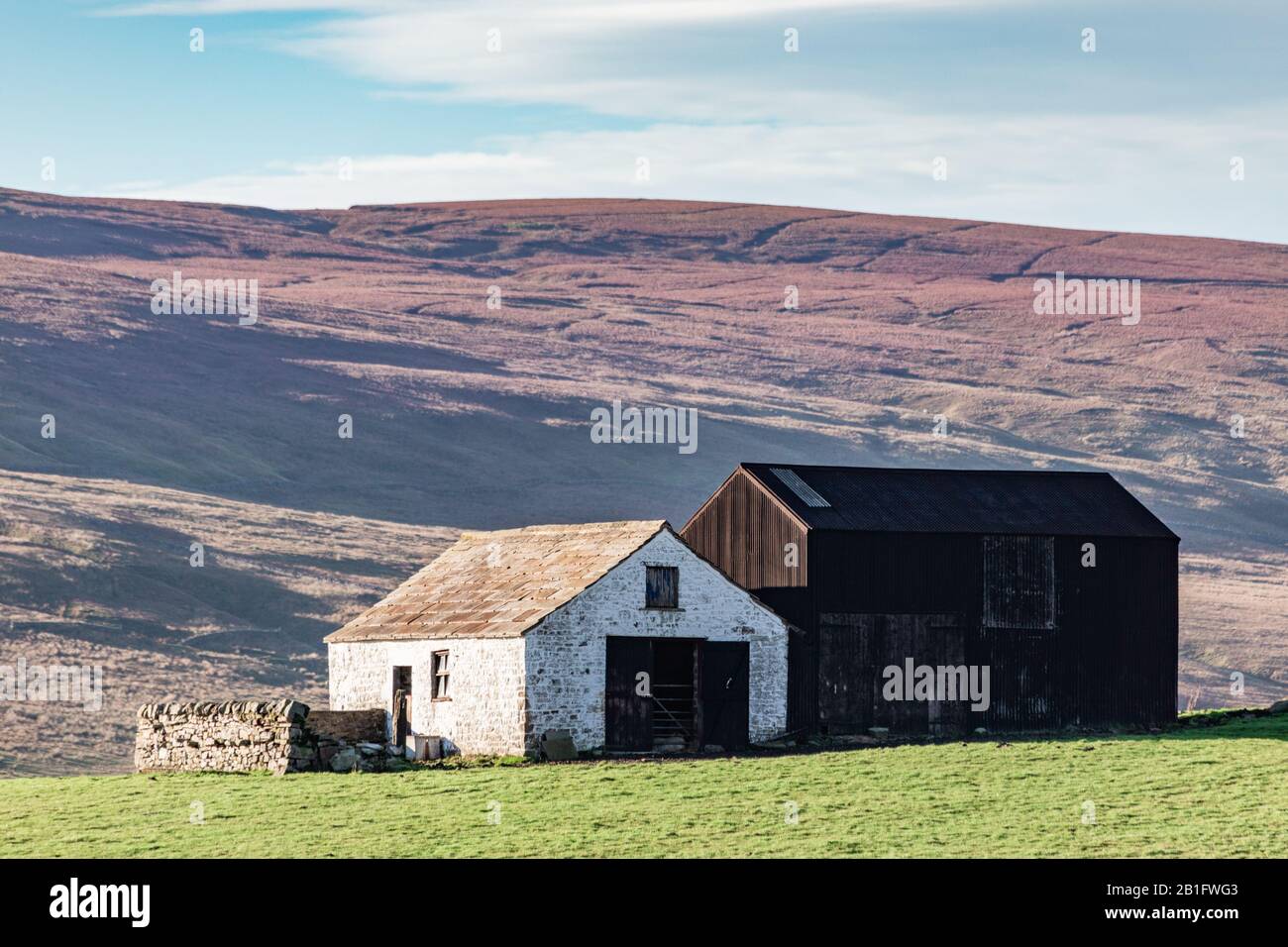 Edifici agricoli a Teesdale, North Pennines, Inghilterra Foto Stock