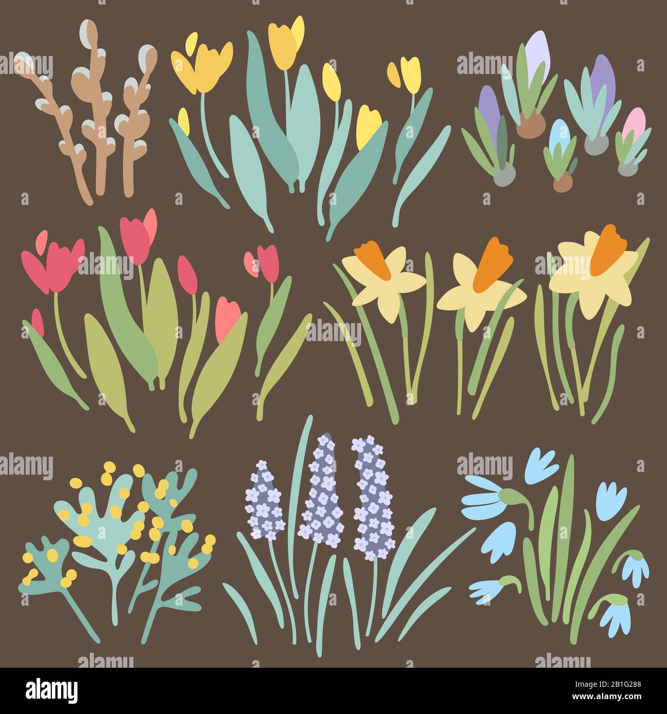 Primavera colorata collezione di fiori isolati su sfondo marrone. Tulipani rossi e gialli, crosi, lavanda, giacinti, narcisi, salice, mimosa Illustrazione Vettoriale