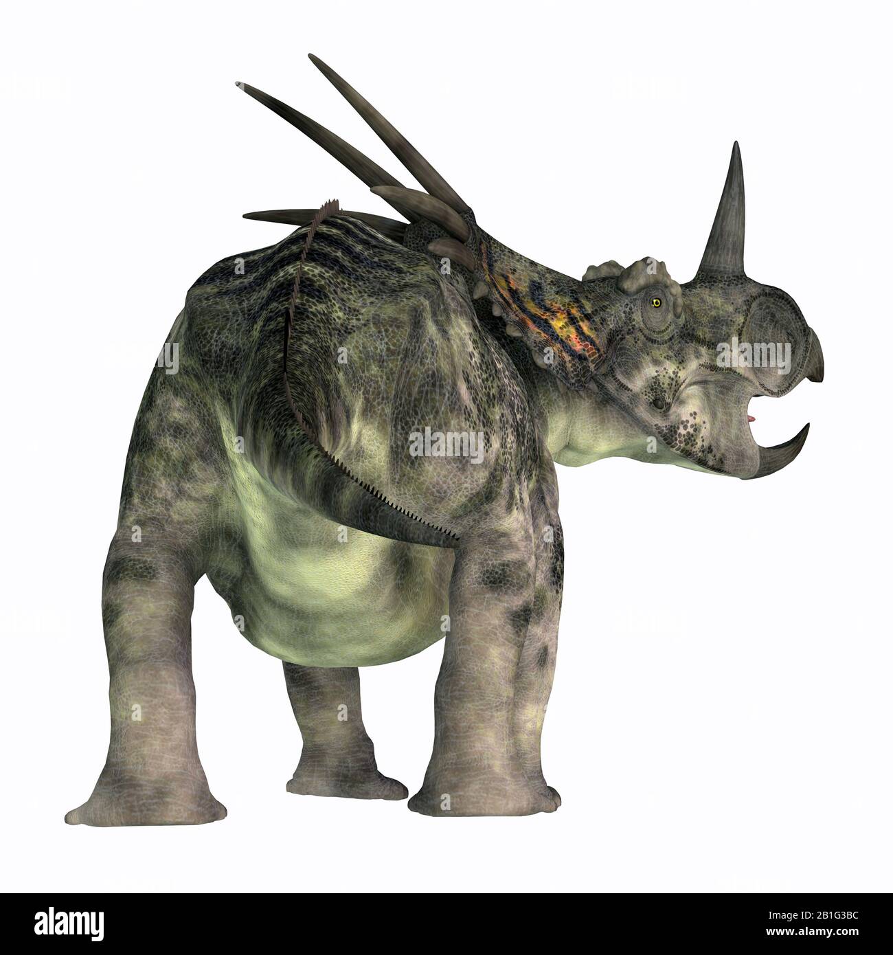 Lo Styracosaurus era un dinosauro Erbivoro Ceratopico che viveva in Canada durante il periodo cretaceo. Foto Stock