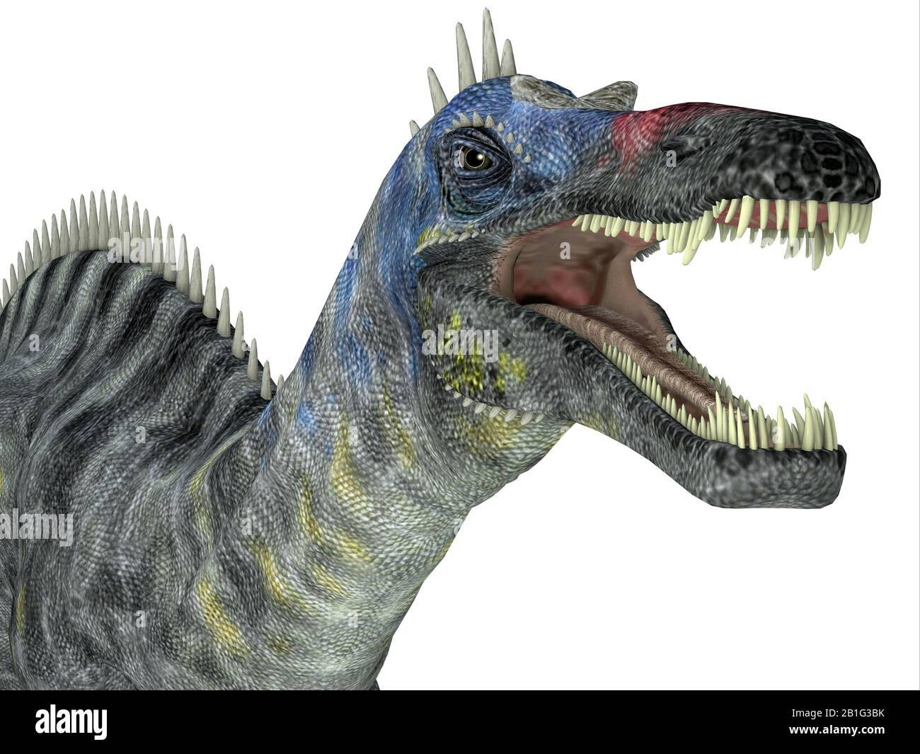 Suchomimus era un dinosauro teropod carnivoro che viveva in Niger, Africa durante Il periodo cretaceo. Foto Stock