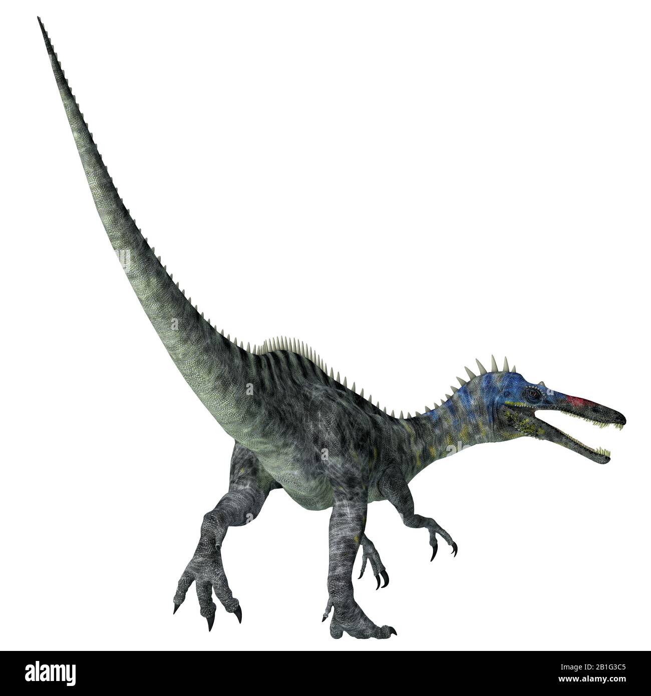 Suchomimus era un dinosauro teropod carnivoro che viveva in Niger, Africa durante Il periodo cretaceo. Foto Stock