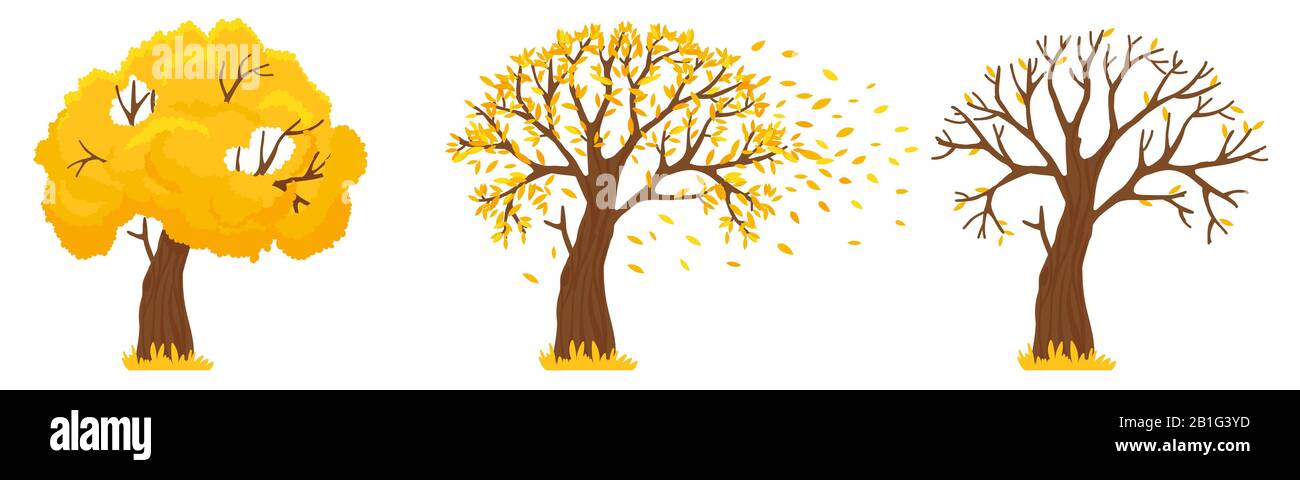 Autunno albero. Foglie gialle cadono, alberi con foglie cadute e foglie arancioni volano illustrazione vettore Illustrazione Vettoriale