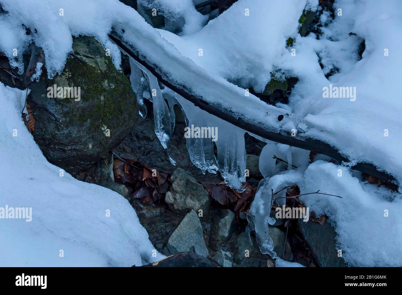 Ammira il primo piano del torrente congelato nella montagna Vitosha, Bulgaria Foto Stock