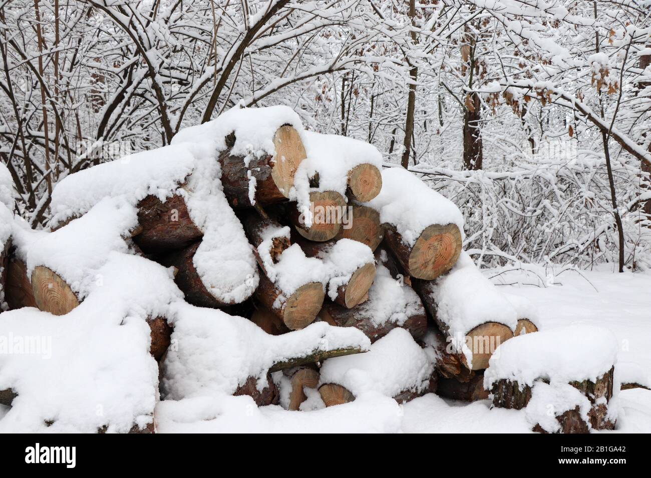 Neve coperta scena invernale. Foto Stock