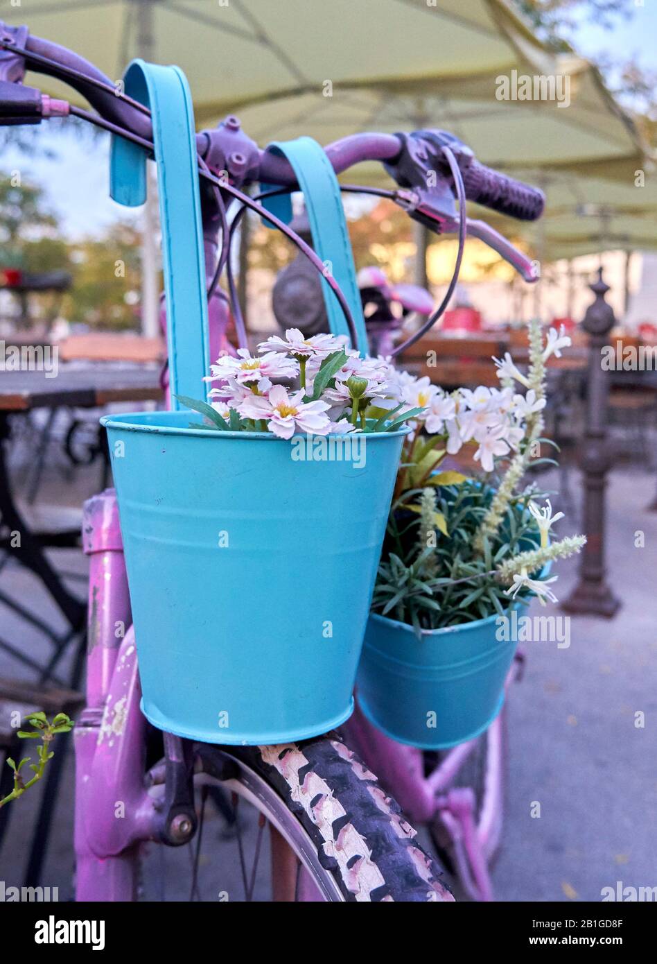 Un primo piano di una vecchia bicicletta vintage color rosa, retrò, con un cesto di fiori. Focus sui fiori. Foto Stock
