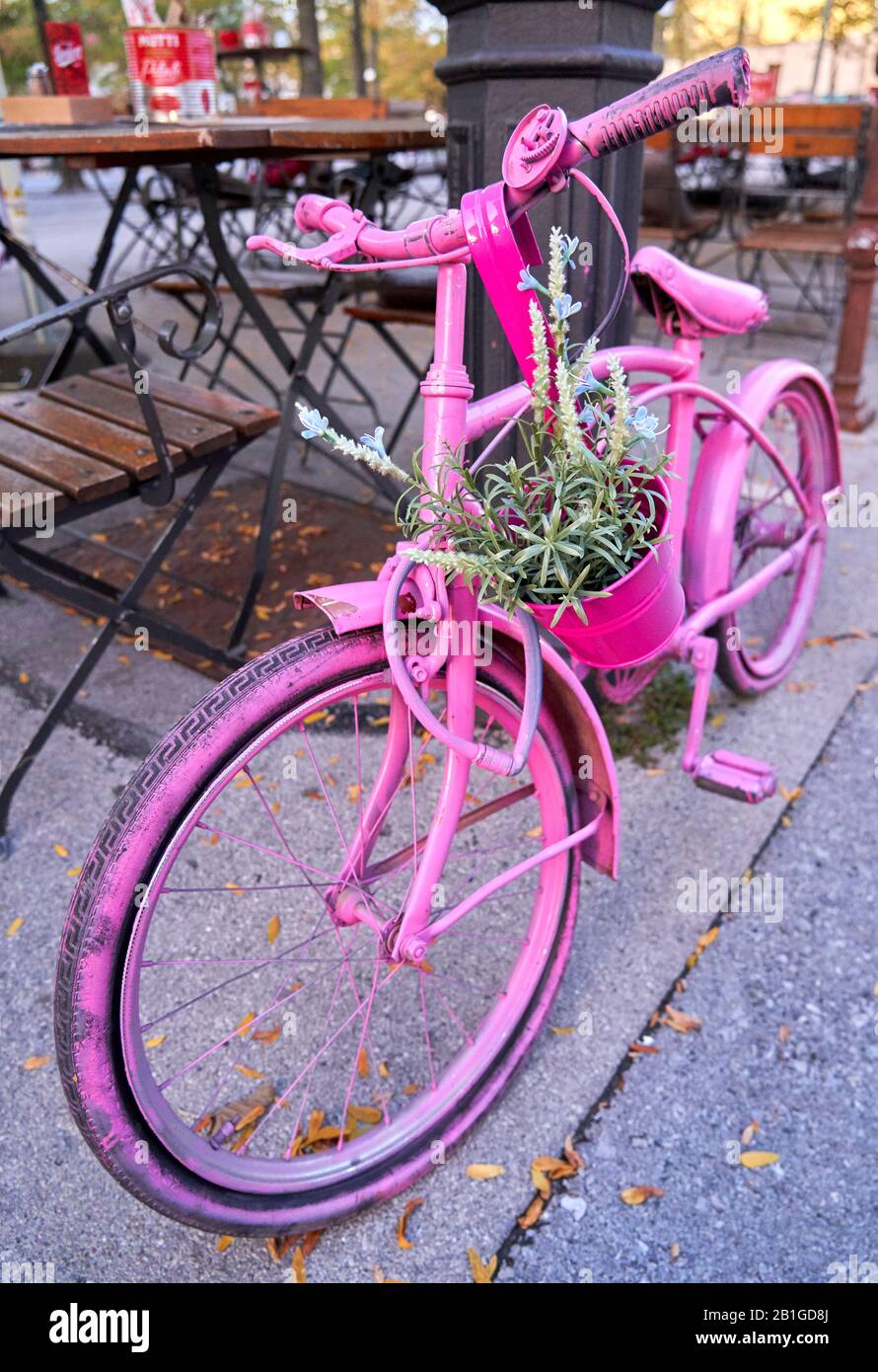Una vecchia bicicletta vintage color rosa, retrò, con un cesto di fiori appoggiato su un palo chiaro. Foto Stock