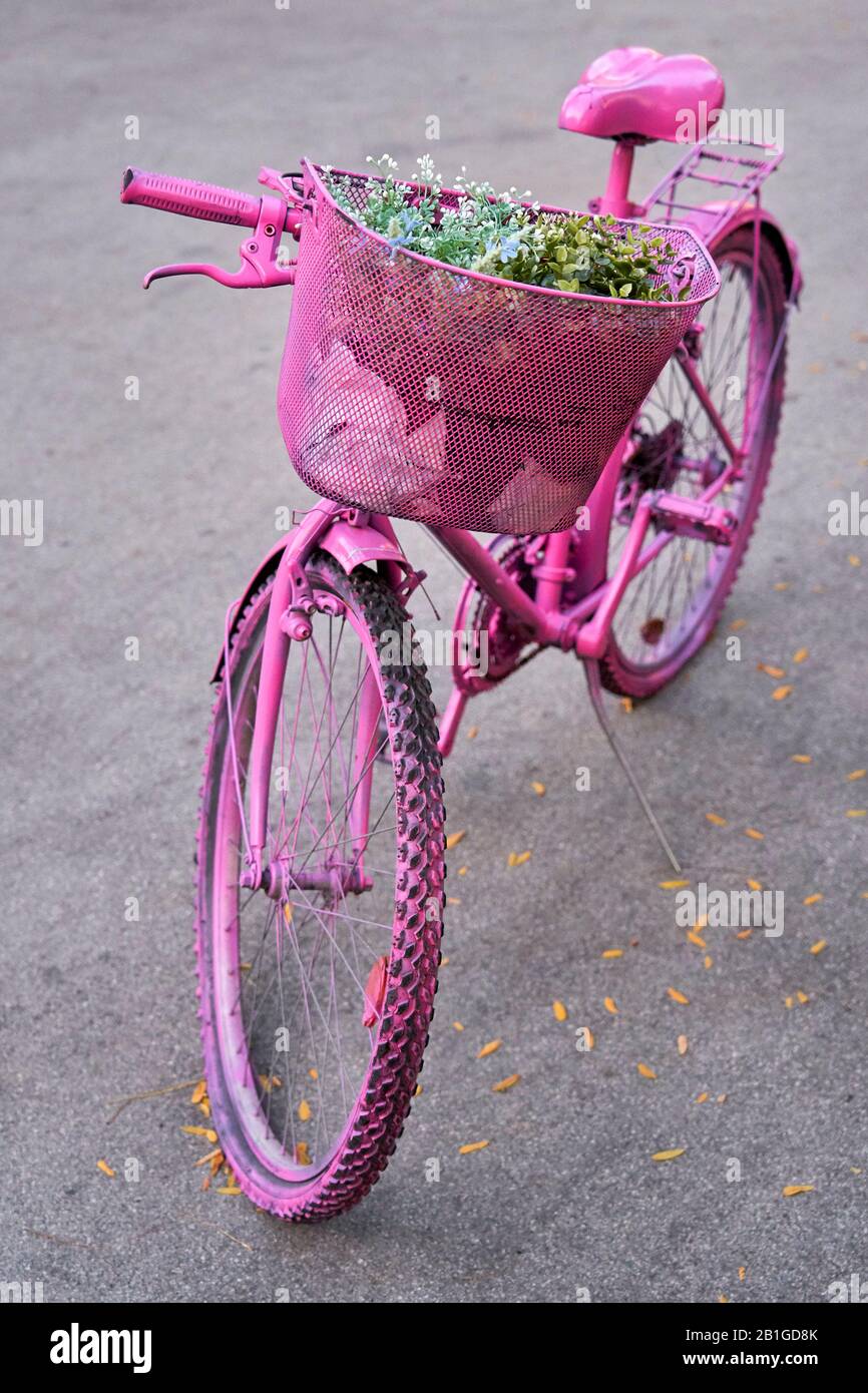 Una vecchia bicicletta vintage color rosa, retrò, con un cesto di fiori in piedi sulla strada. Foto Stock
