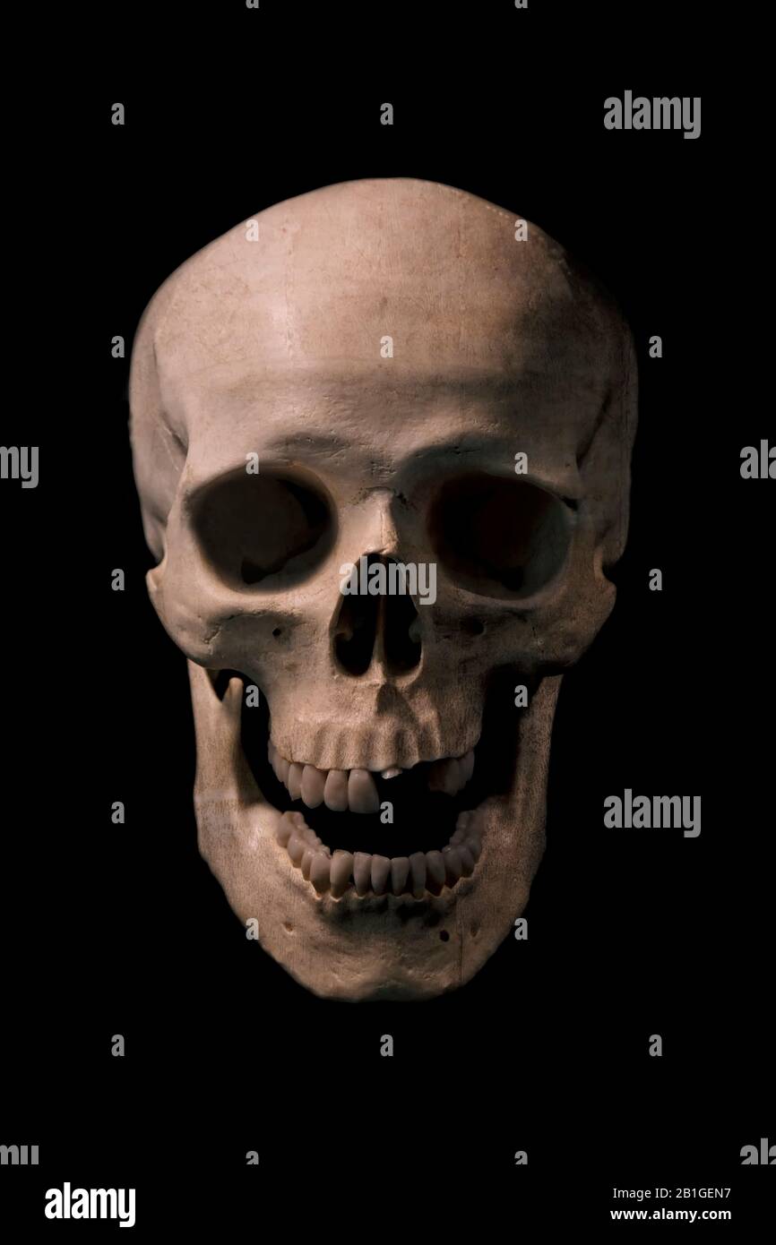 Vista frontale del cranio umano con bocca aperta. Isolato su sfondo nero. Foto Stock