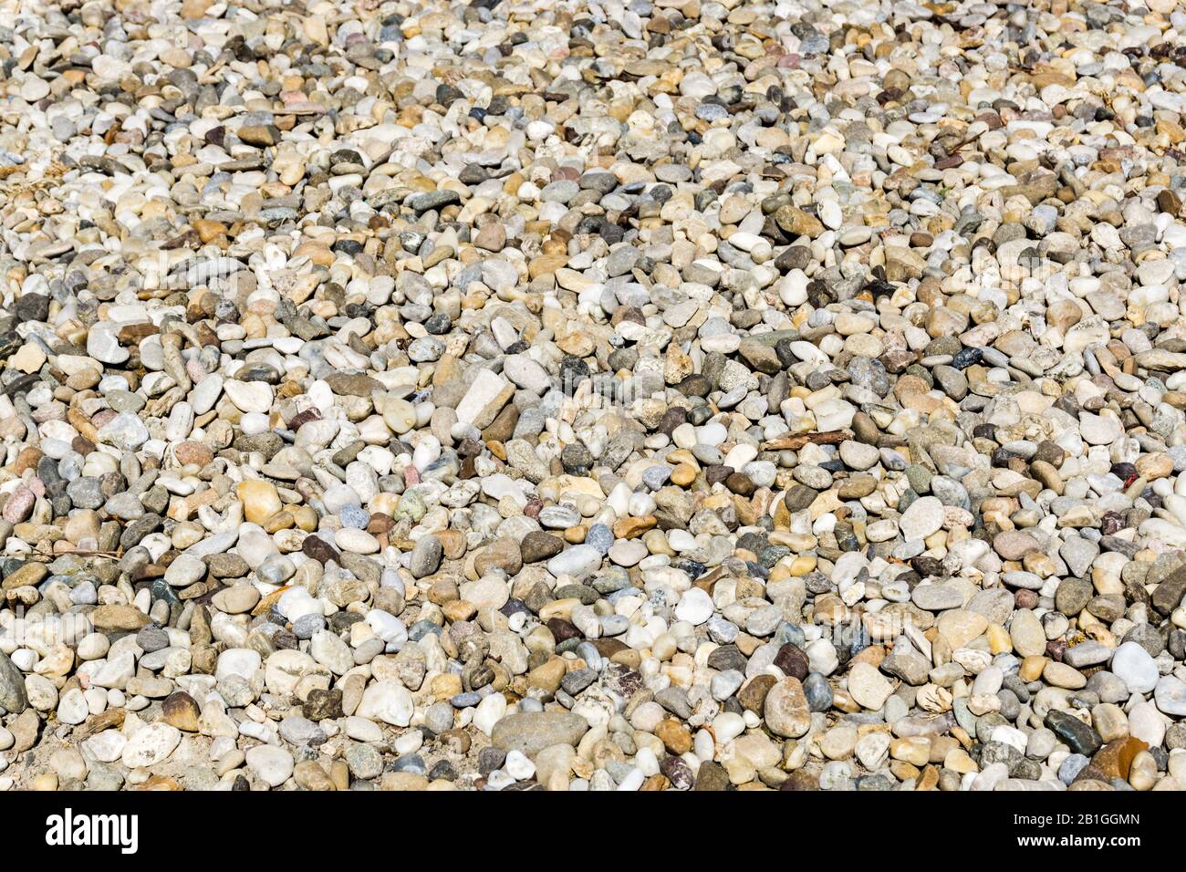 Ghiaia arrotolata in un viale di accesso in una giornata di sole Foto Stock