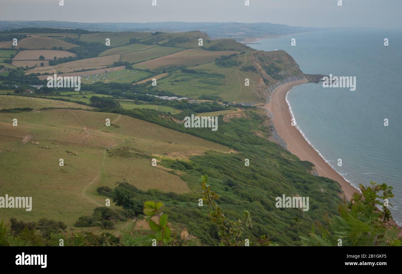 Campi verdi su una collina con il mare English Channel e la campagna inglese sullo sfondo. Golden Cap sulla costa giurassica a Dorset, Regno Unito. Foto con Foto Stock