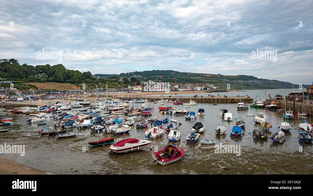 Barche locali sulla zona sabbiosa intertidale a bassa marea in legis ryme, Inghilterra meridionale Foto Stock