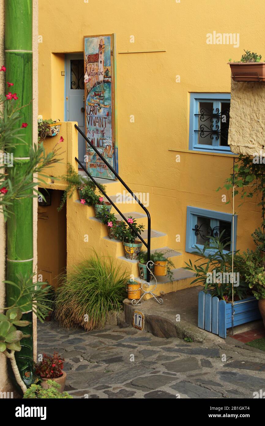 Collioure, Francia; Situato su strada acciottolata nella città di mare mediterranea, una casa color giallo pastello adornata con piante in vaso Foto Stock