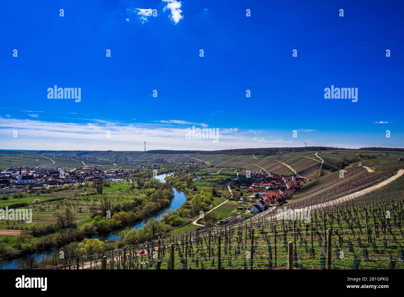 Vista sull'idilliaca Main Valley, i vigneti, il Main Loop nella città di Volkach; germania Foto Stock