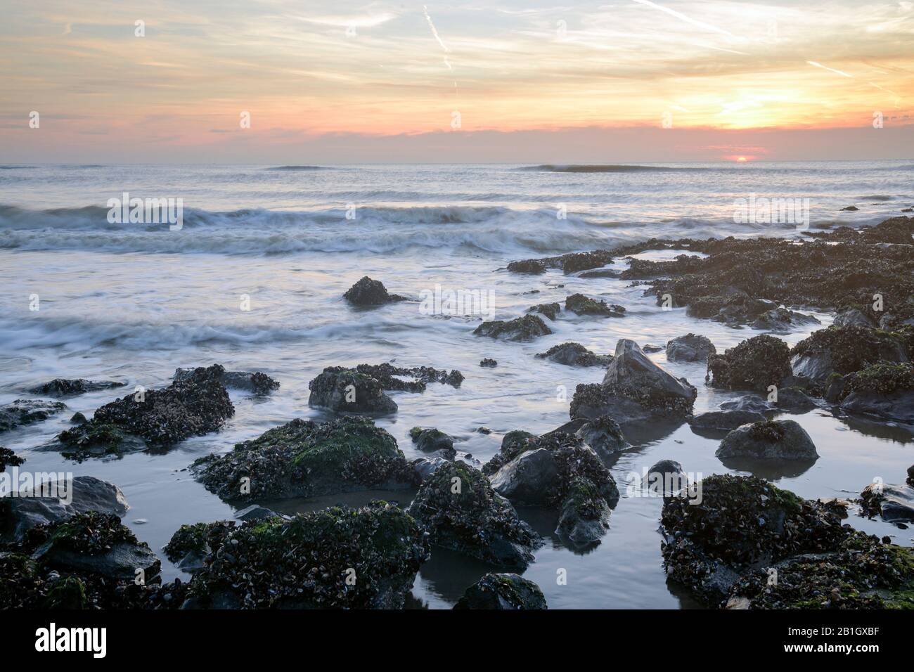 Costa del Mare del Nord al tramonto, Paesi Bassi, Den Helder Foto Stock