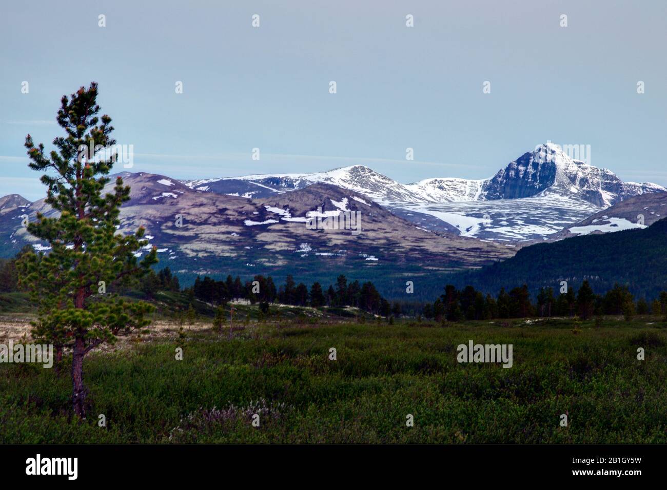 Serata al Parco Nazionale Rondane, Norvegia, Parco Nazionale Rondane, Grimsbu Foto Stock