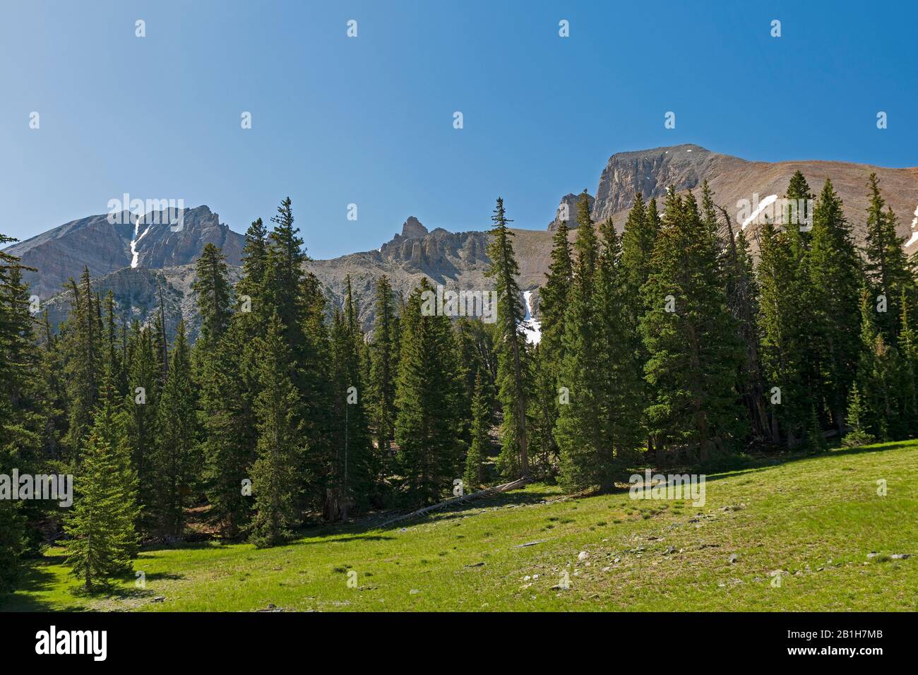 Montagne spettacolari Che Si Stagliano su un prato alpino nel Parco Nazionale del Great Basin in Nevada Foto Stock