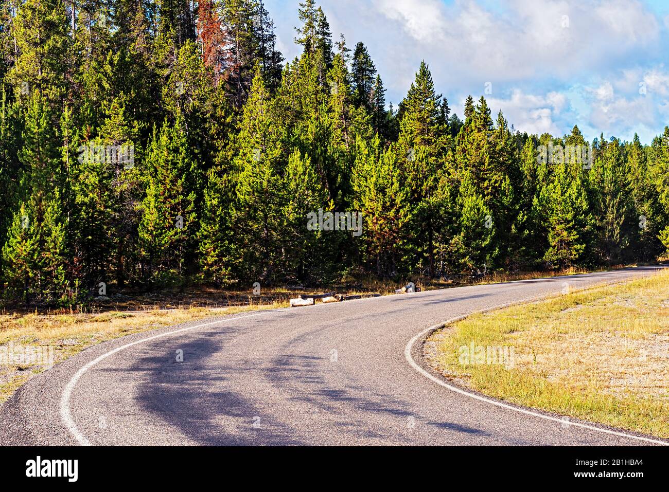 Strada asfaltata stretta che si incurva in una foresta verde. Foto Stock