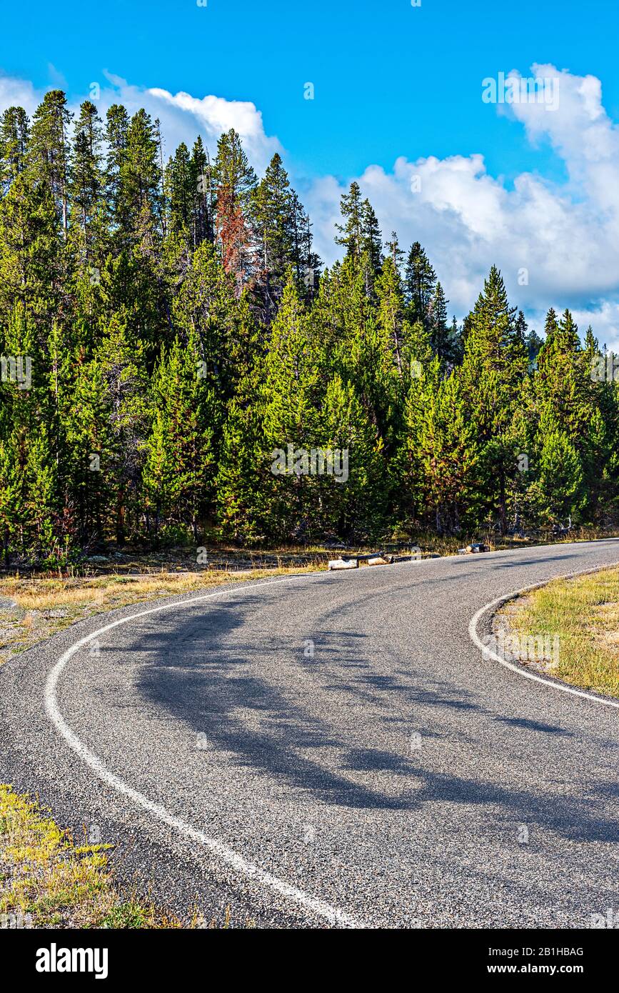 Strada asfaltata stretta che si inarcia in una foresta verde sotto un cielo blu. Foto Stock