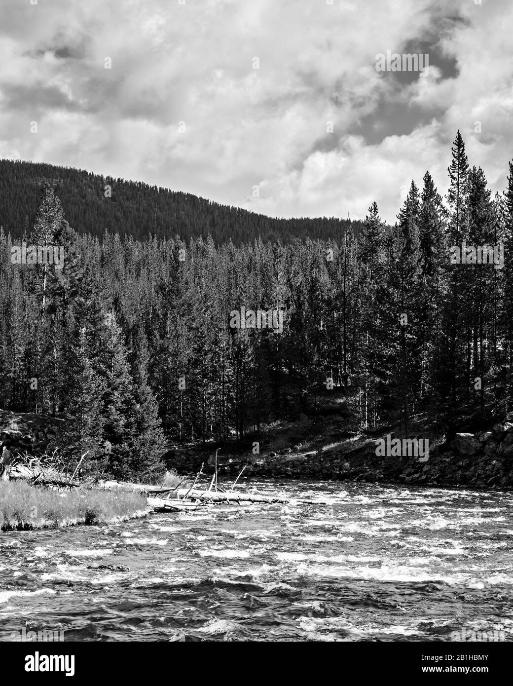 Natura rinfrescante con foresta e fiume negli ampi spazi aperti, non è necessaria alcuna maschera qui. Foto Stock