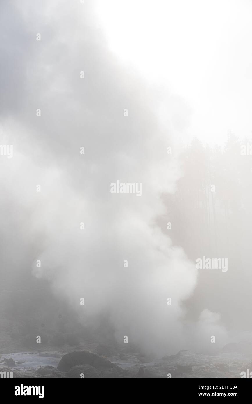 I gas odoranti che si innalzano dal suolo riempiono l'aria con una nebbia spessa. Foto Stock