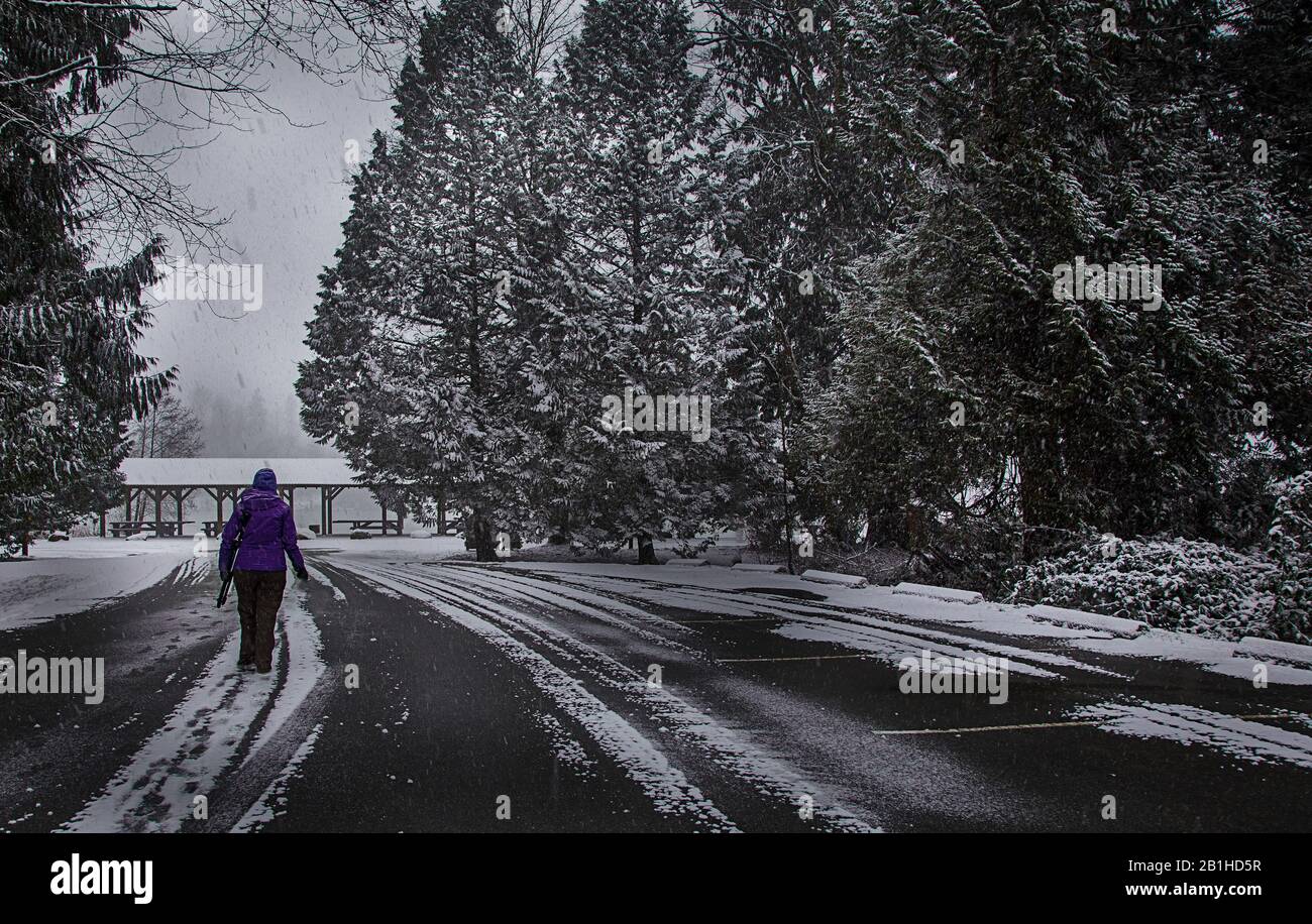 Donna che cammina verso tavoli da picnic nel parco durante la nevicata Foto Stock