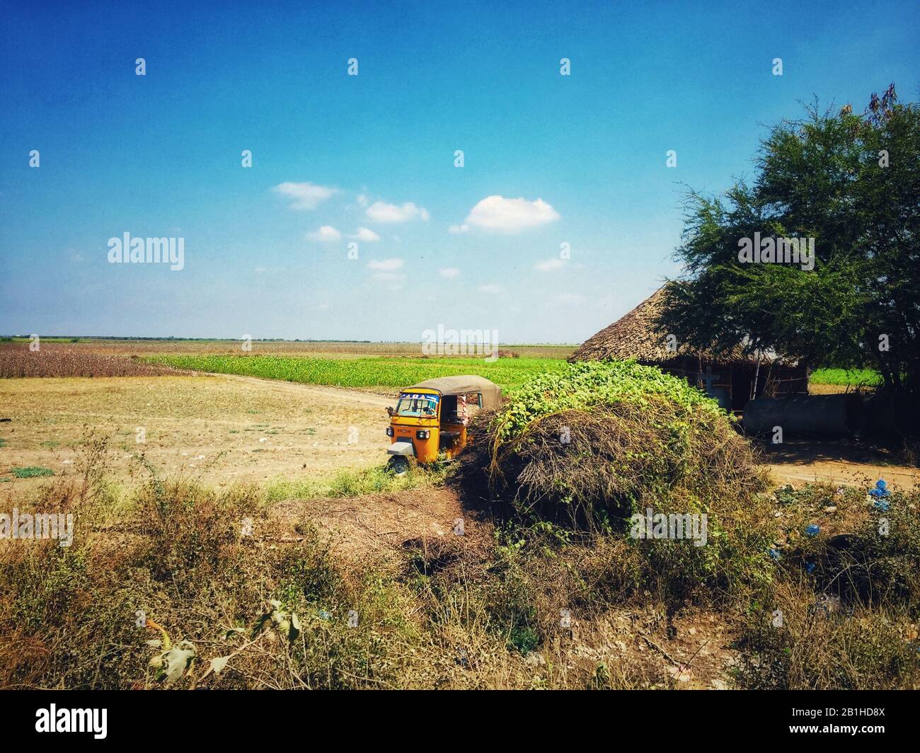 Natura (terreni agricoli) Foto Stock