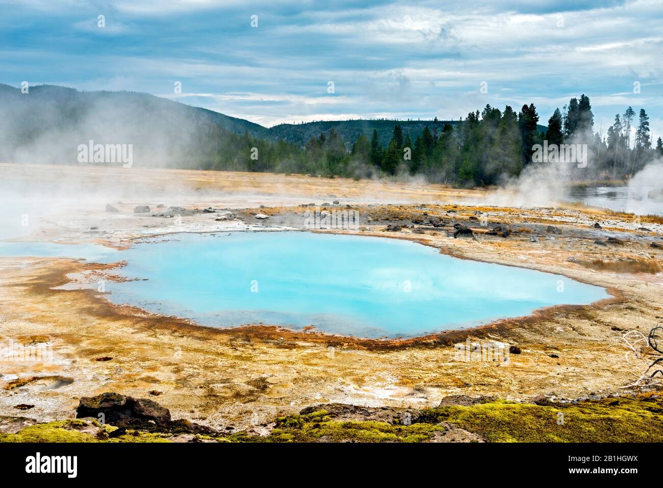 Sorgente termale geotermica con vapore che sale dall'acqua. Foto Stock