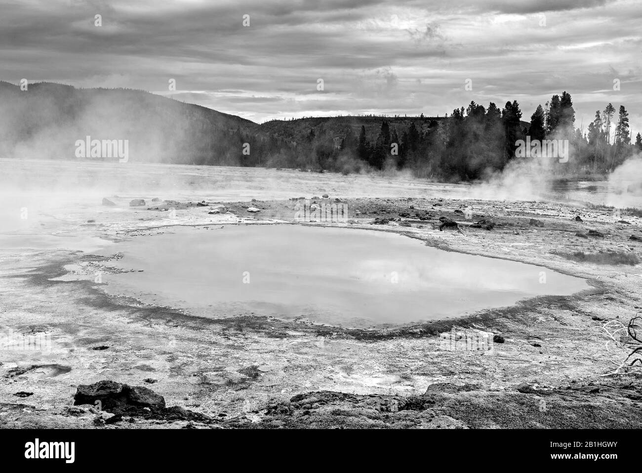 Piscina calda con vapore e foresta oltre, in bianco e nero. Foto Stock