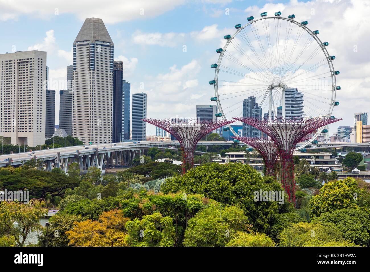 Vista dei torreggianti giardini verticali e dei superalberi in Gardens by the Bay, Singapore, Asia contro la ruota panoramica chiamata Singapore Flyer Foto Stock