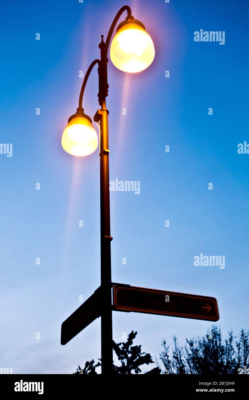 luce di strada con globo di vetro al crepuscolo Foto Stock