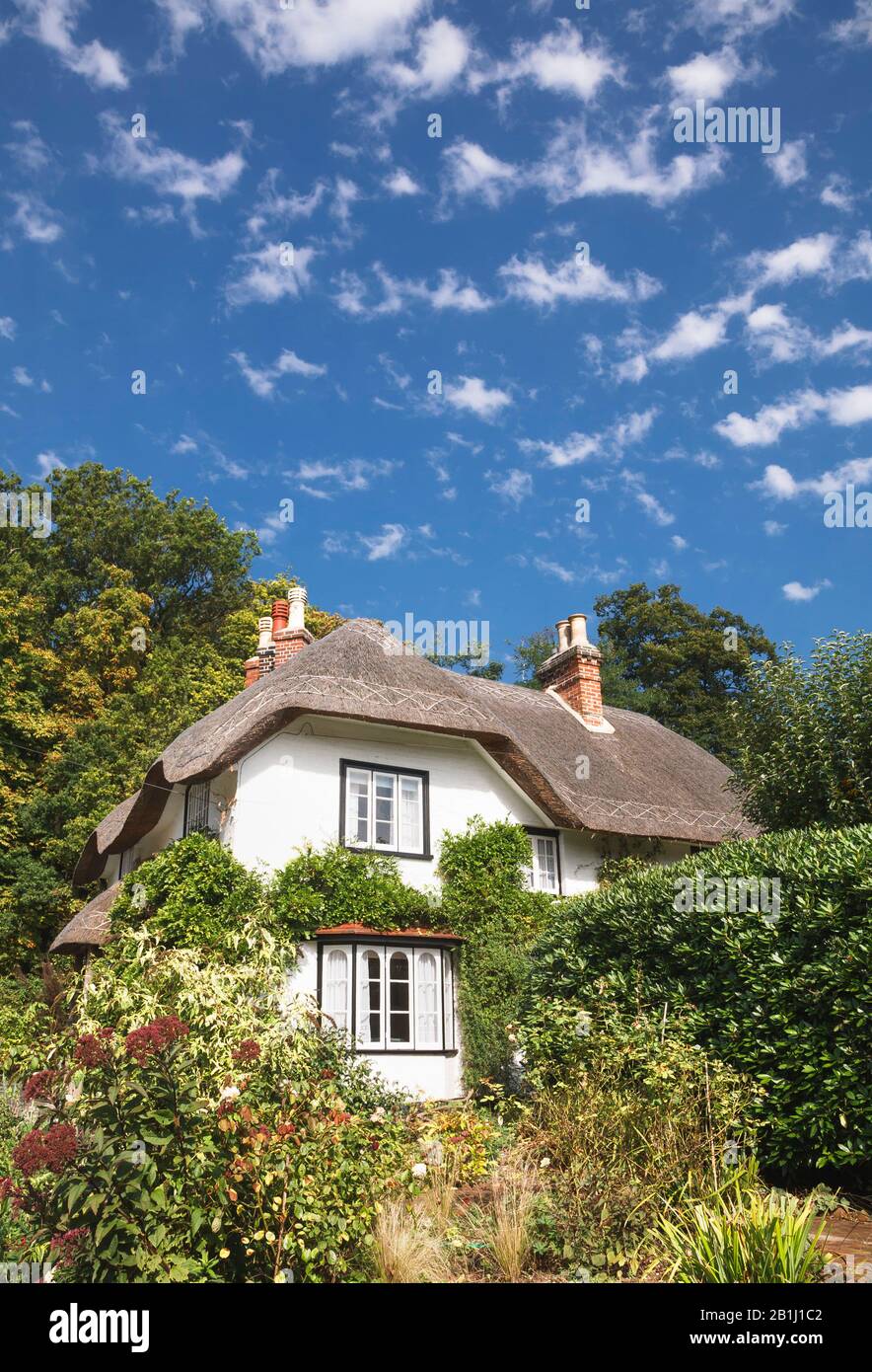 Cottage con tetto di paglia nella New Forest, Hampshire, Inghilterra Foto Stock