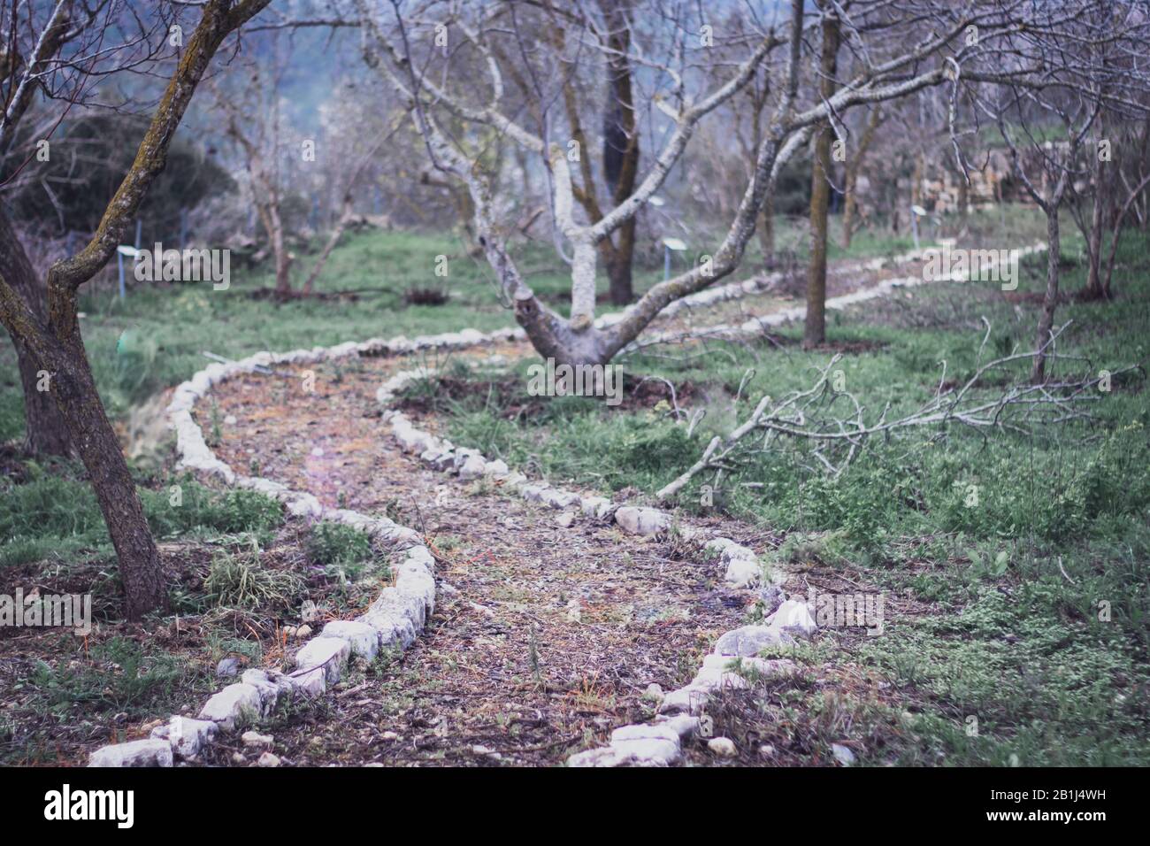 Un sentiero antico e tortuoso all'interno della riserva sataf, un antico sito agricolo con metodi tradizionali. Vegetazione e alberi su un sentiero escursionistico, Foto Stock