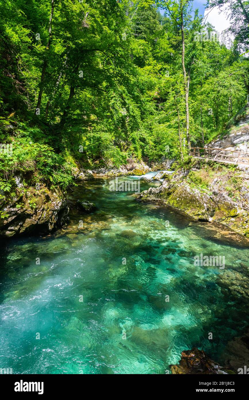 Paesaggio nella Gola di Vintgar (Soteska Vintgar) vicino alla città di Bled in Slovenia. Scolpito dal fiume Radovna, è il proseguimento della valle di Radovna. Foto Stock