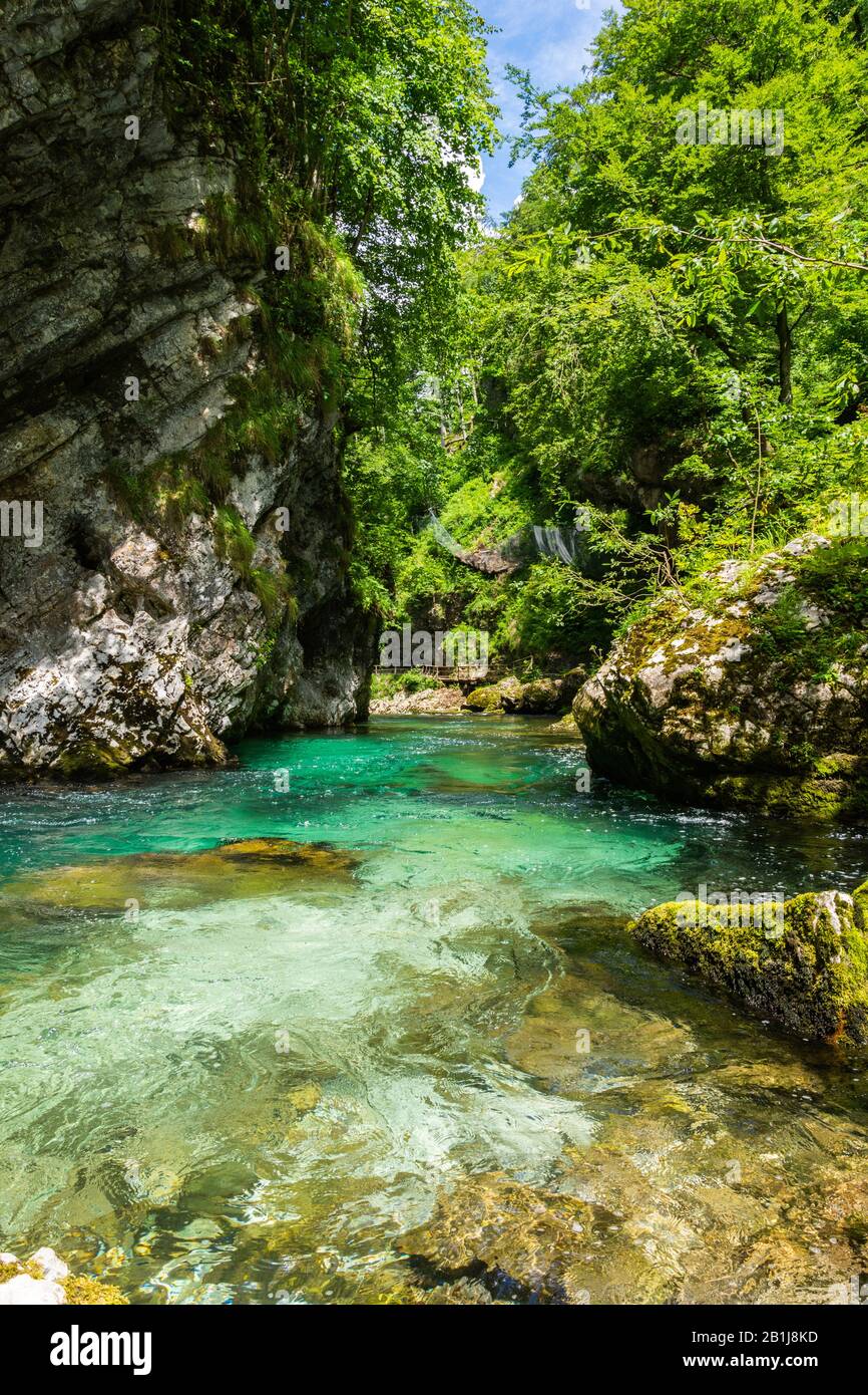 Paesaggio nella Gola di Vintgar (Soteska Vintgar) vicino alla città di Bled in Slovenia. Scolpito dal fiume Radovna, è il proseguimento della valle di Radovna. Foto Stock