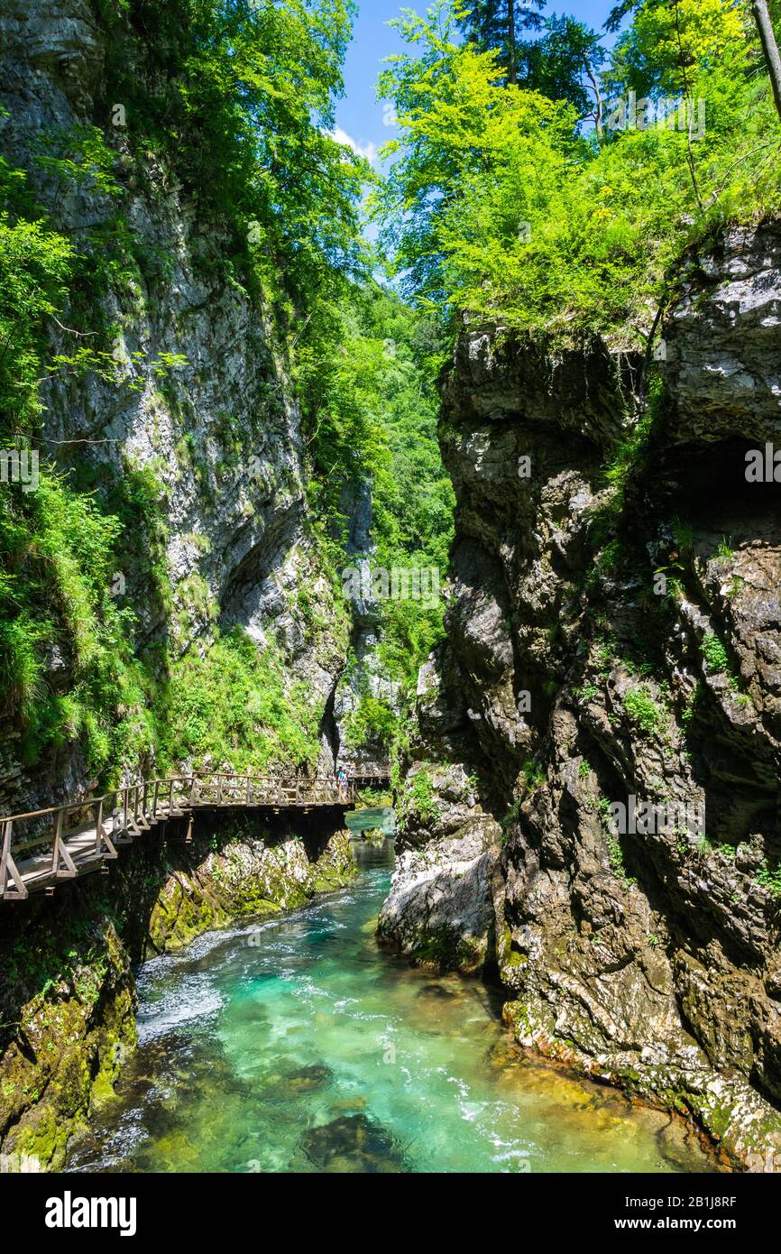 Paesaggio nella Gola di Vintgar (Soteska Vintgar) vicino alla città di Bled in Slovenia, con la passerella in legno e cifre non identificabili della gente. Scolpito dalla R. Foto Stock