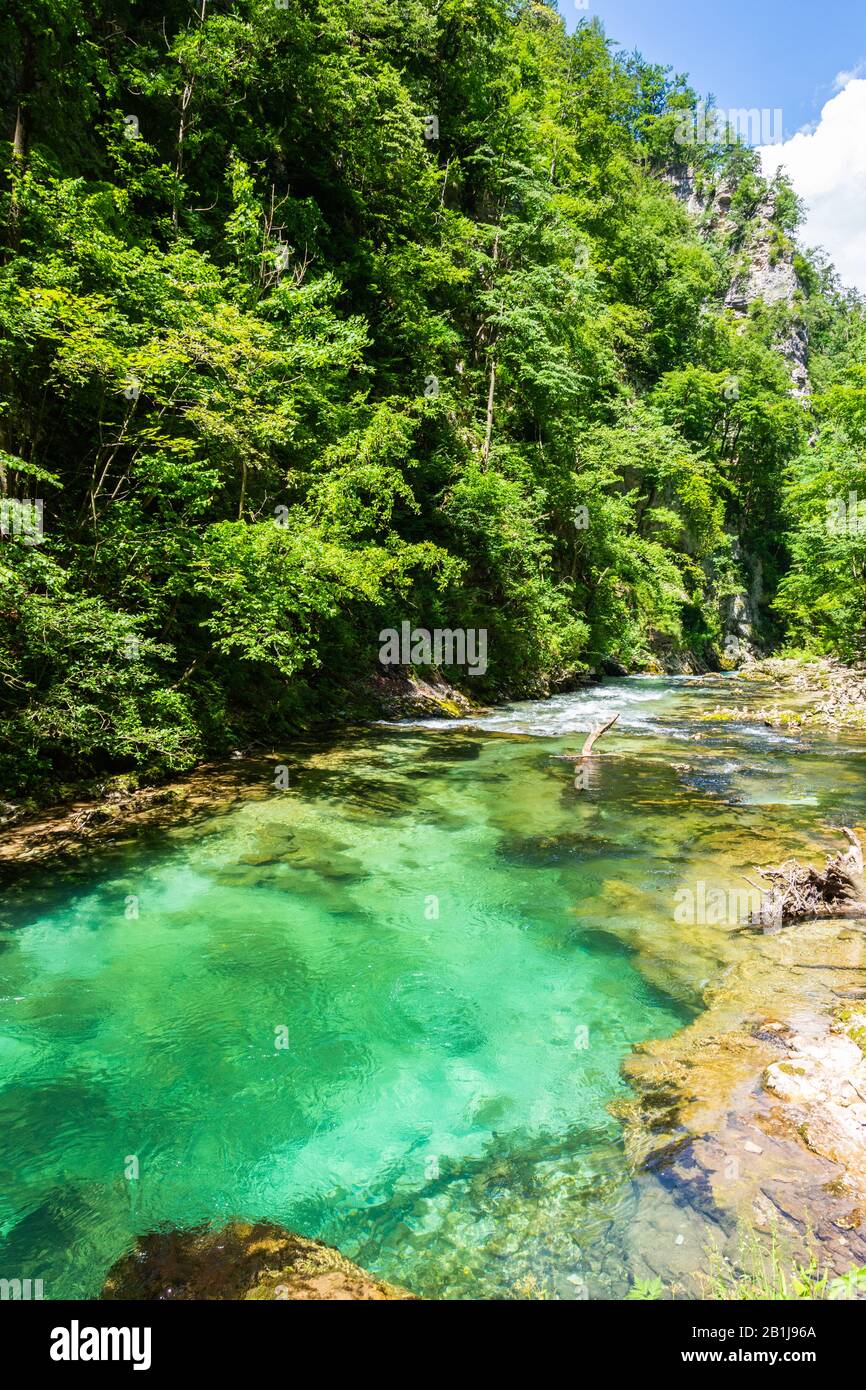 Paesaggio nella Gola di Vintgar (Soteska Vintgar) vicino alla città di Bled in Slovenia, con una piscina di acqua cristallina del fiume Radovna. Foto Stock