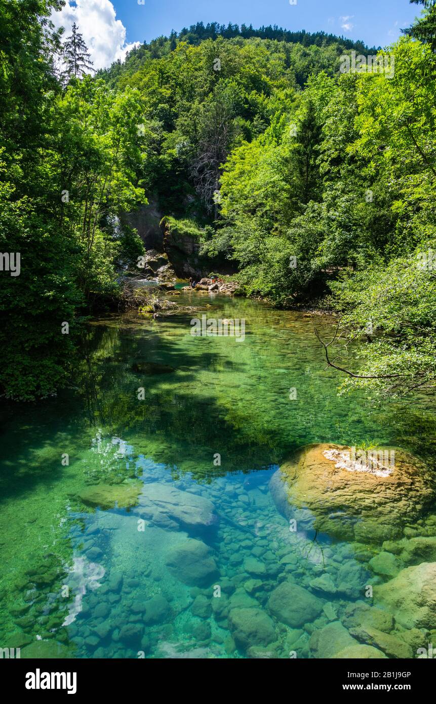 Paesaggio nella Gola di Vintgar (Soteska Vintgar) vicino alla città di Bled in Slovenia, con acque cristalline del fiume Radovna. Foto Stock