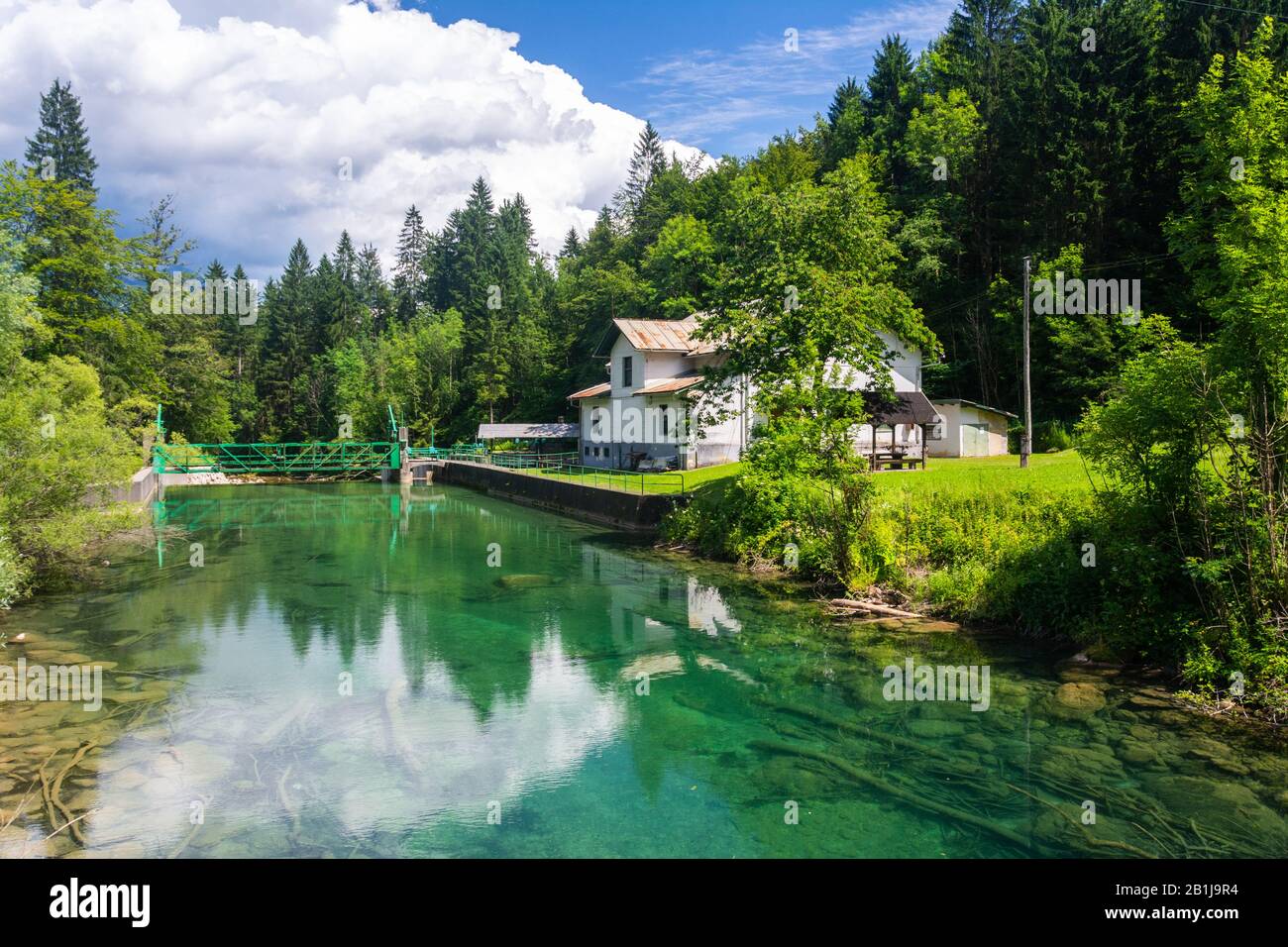 Paesaggio nella Gola di Vintgar (Soteska Vintgar) vicino alla città di Bled in Slovenia, vicino alla diga idroelettrica costruita attraverso il fiume Radovna. Foto Stock