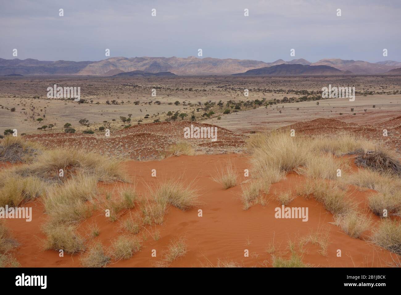 Dune fossili e dune di sabbia rossa - paesaggio colorato al Namib-Desert-Lodge nel parco nazionale Namib-Naukluft del deserto del Namib , vicino Sossusvlei Namibia Foto Stock