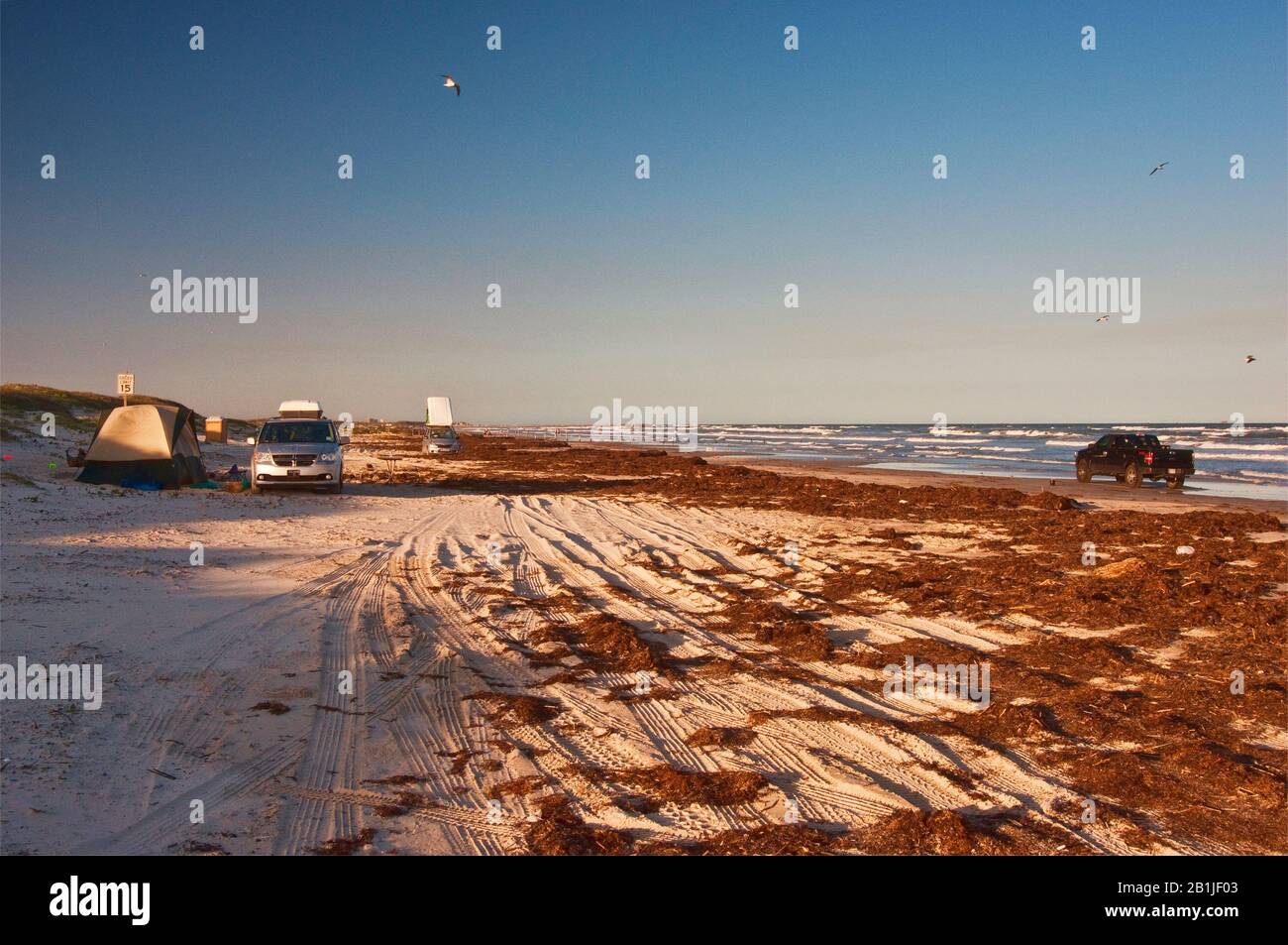 Campeggio sulla spiaggia, coperto di alghe, Golfo del Messico, Mustang Island state Park, Gulf Coast, Texas, Stati Uniti Foto Stock