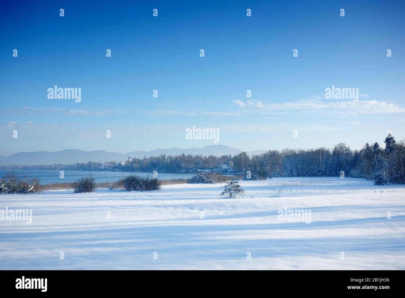 Paesaggio invernale vicino al lago Starnberg, Germania, Baviera, Seeshaupt Foto Stock