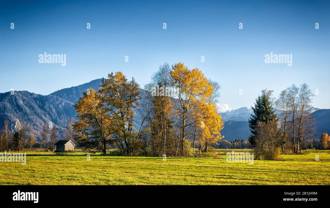 Paesaggio autunnale in Baviera, Germania, Baviera Foto Stock